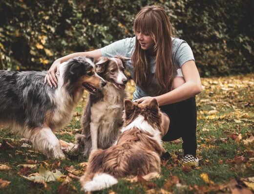 Happy Paws Home Care – pet care in Cincinnati (photo 1)
