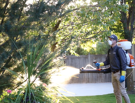 Hawx Pest Control – pest control in St. Louis