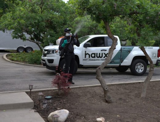 Hawx Pest Control