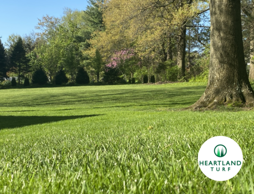 Heartland Turf – lawn care in Cincinnati (photo 1)