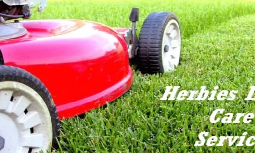 Herbies Lawn Care – lawn care in Cincinnati (photo 1)