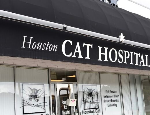 Houston Cat Hospital