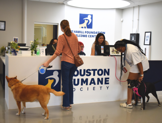 Houston Humane Society Veterinary Clinic
