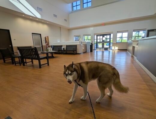 Houston SPCA Veterinary Clinic