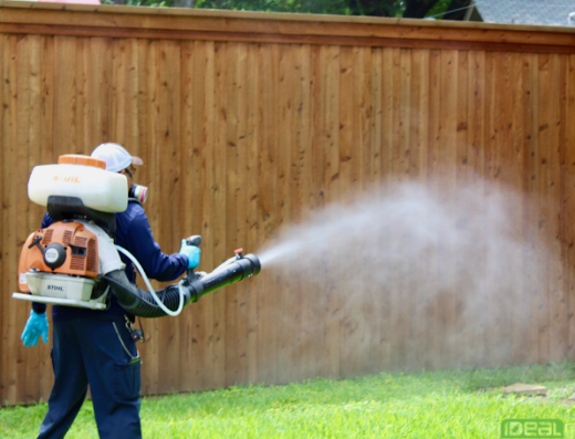 Ideal Pest Control