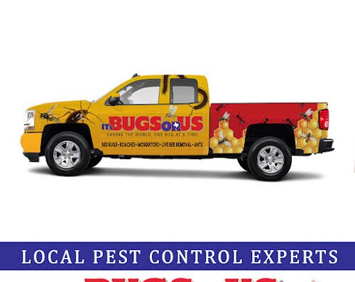 It’s Bugs Or Us Pest Control – Houston
