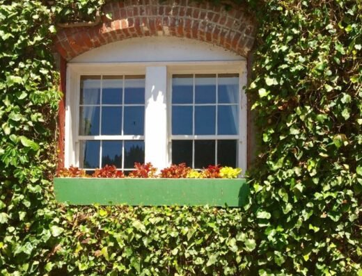 Jeff Likes Clean Windows and Gutters – pressure washing in Sacramento (photo 1)