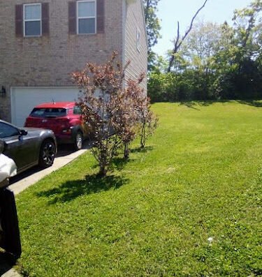 Jynesis Lawn Care LLC