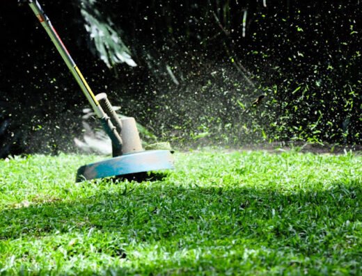 Lakeview Weed Whackers – lawn care in New Orleans