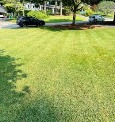 Lawn Capital