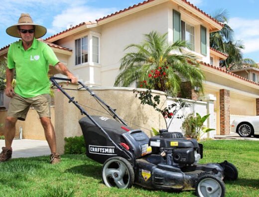Lawn Love Lawn Care of Washington DC – lawn care in Washington, DC