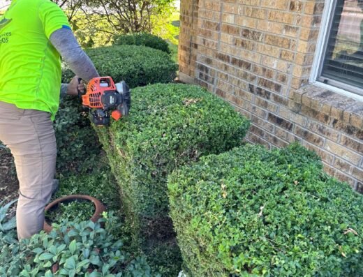 Landscaping BBS