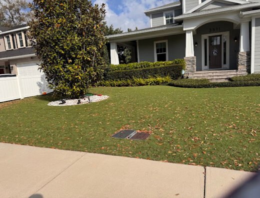 Lawn Service Tampa