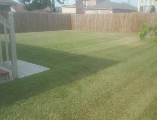 Lawn Stars NOLA – lawn care in New Orleans