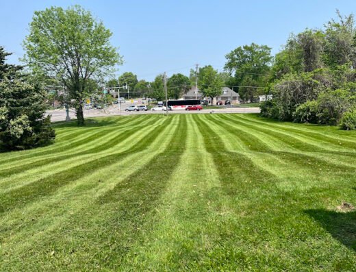 Lawns Unlimited LLC – lawn care in St. Louis