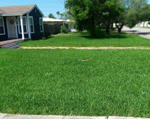LawnStarter – Corpus Christi
