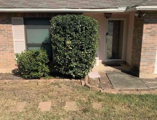 LawnStarter – Houston Landscaping
