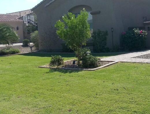 LawnStarter – Houston Landscaping