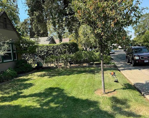 LawnStarter Landscaping – Lawn care in San Jose