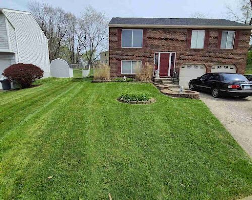 LawnStarter Lawn Care Service – lawn care in Cincinnati