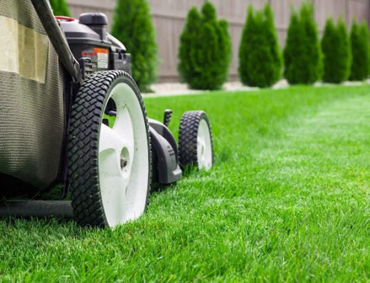 LawnStarter Lawn Care Service