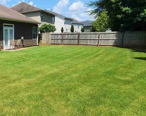 LawnStarter Lawn Care Service