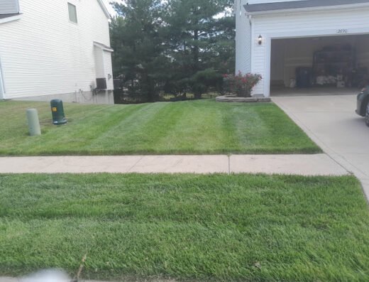 LawnStarter Lawn Care Service
