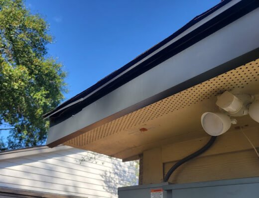 Leafguard Gutter Protection