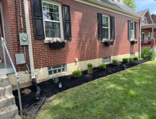 Lia's Landscaping – lawn care in Cincinnati (photo 1)