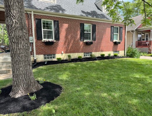 Lia's Landscaping – lawn care in Cincinnati