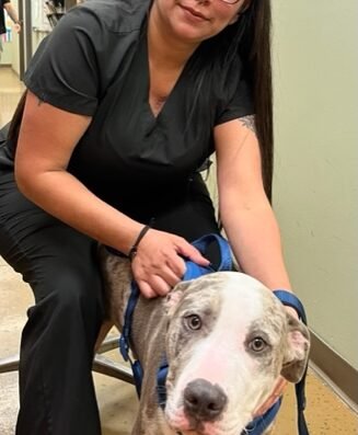 Long Drive Dog & Cat Hospital