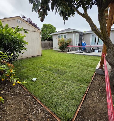 Lopez Lawn Care – Lawn care in San Jose