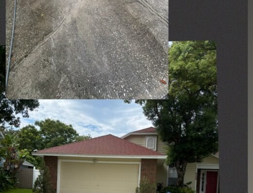 Loyal Exterior Wash LLC – pressure washing in Orlando (photo 2)