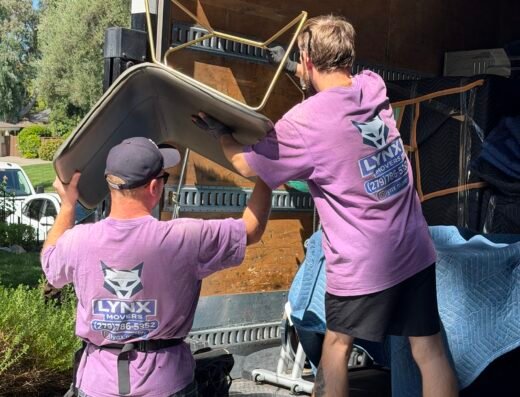 Lynx Movers