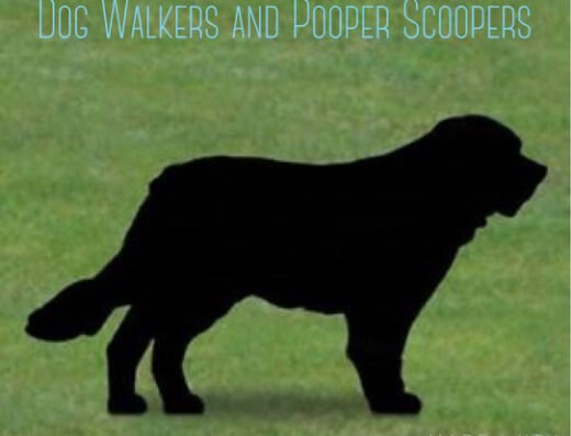 Magic Unicorn Pooper Scooper and Dog Walkers