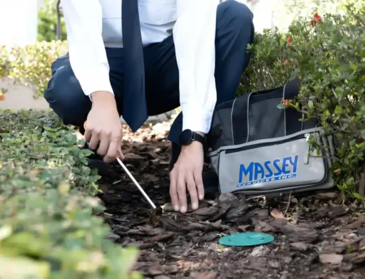 Massey Services GreenUP Lawn Care photo, Orlando FL