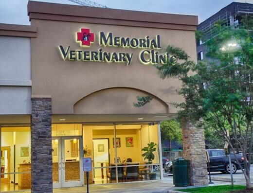 Memorial Veterinary Clinic