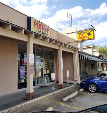 Metairie Pestop – pest control in New Orleans