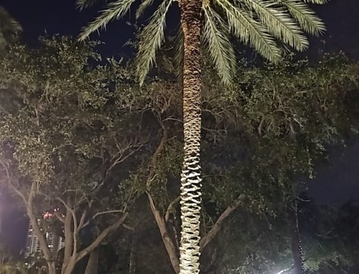 Miami Beach Super Plumber