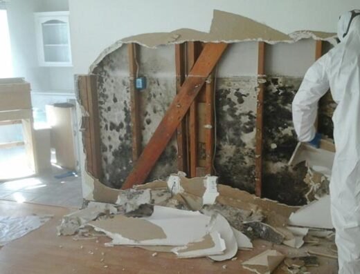 Mold Testing Houston