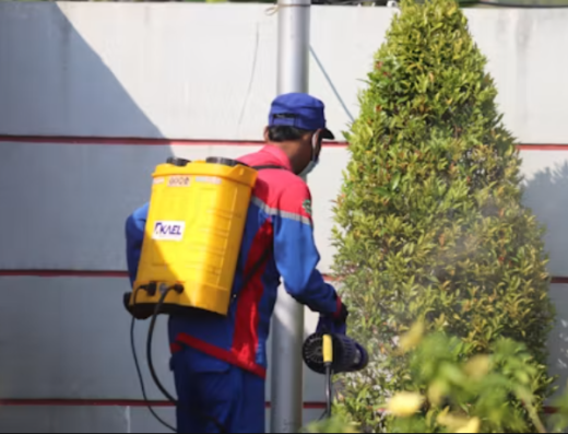 MONDRAGON Pest Control & Fumigation LLC – Pest control in Miami