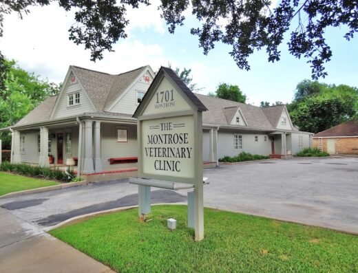 Montrose Veterinary Clinic