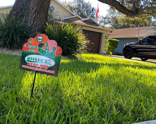 Morgan Horticultural Services – lawn care in Tampa
