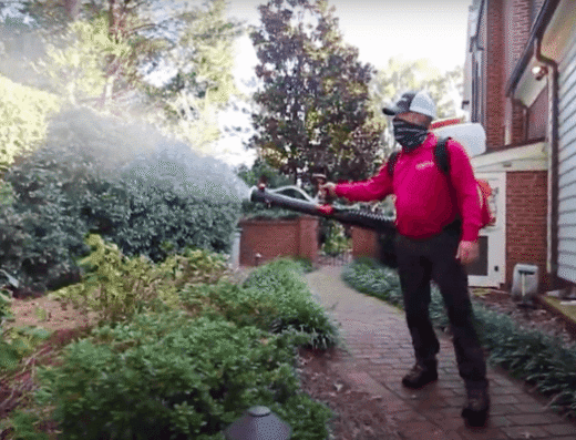 Mosquito Authority