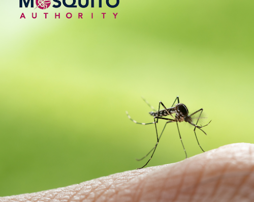 Mosquito & Pest Authority of Greater Houston
