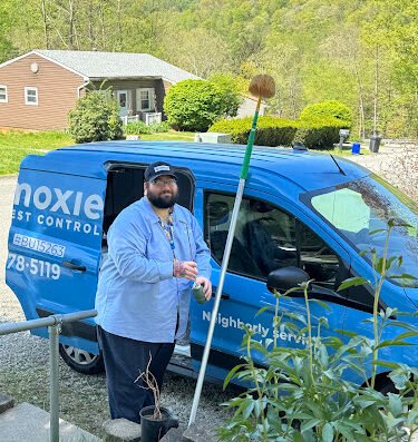 Moxie Pest Control – pest control in Pittsburgh