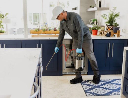 MR. Pest Control Los Angeles
