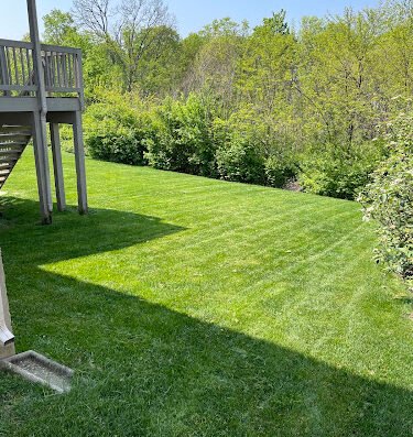 Mrgrasslawncare LLC – lawn care in Cincinnati