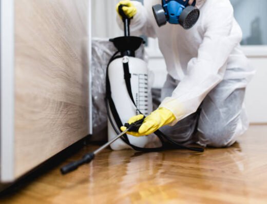 Nashville Pest Shield Inc – Pest control in Nashville