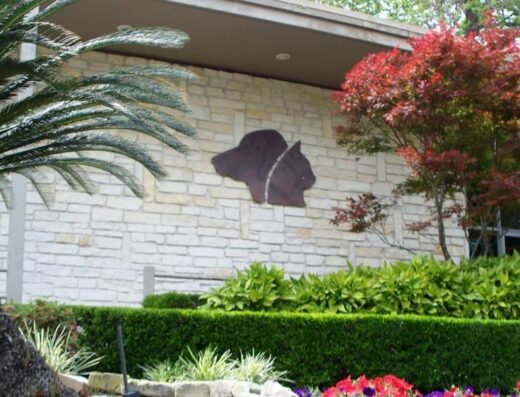 Neartown Animal Clinic